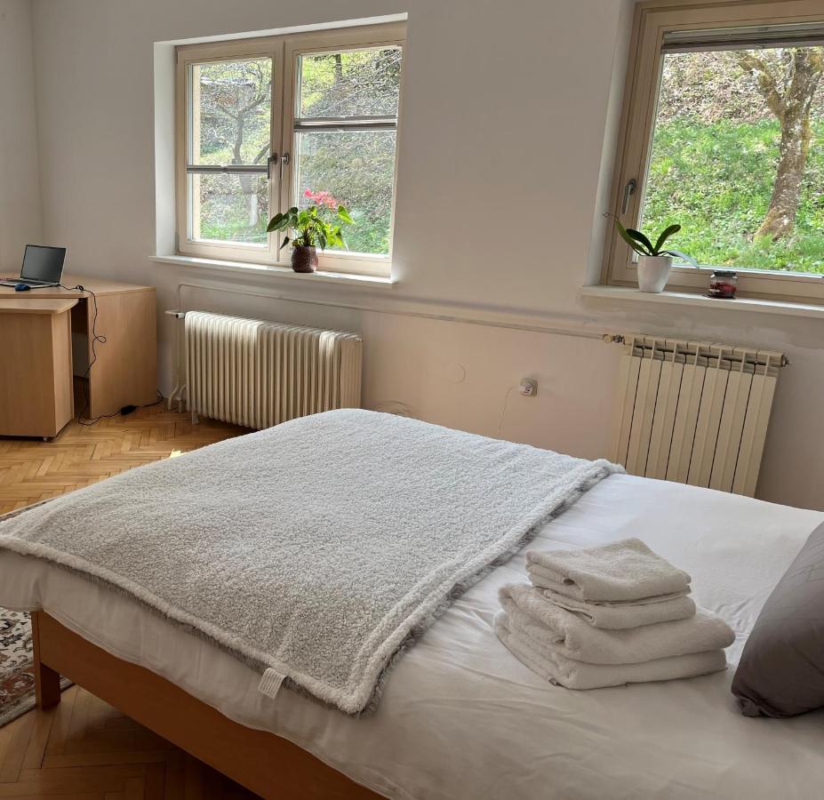 Lovely 2-Bedroom Appartment With Free Parking Dobrova Exteriér fotografie