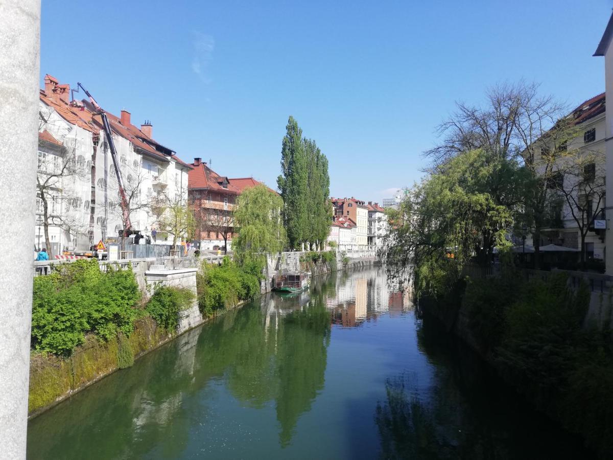 Lovely 2-Bedroom Appartment With Free Parking Dobrova Exteriér fotografie