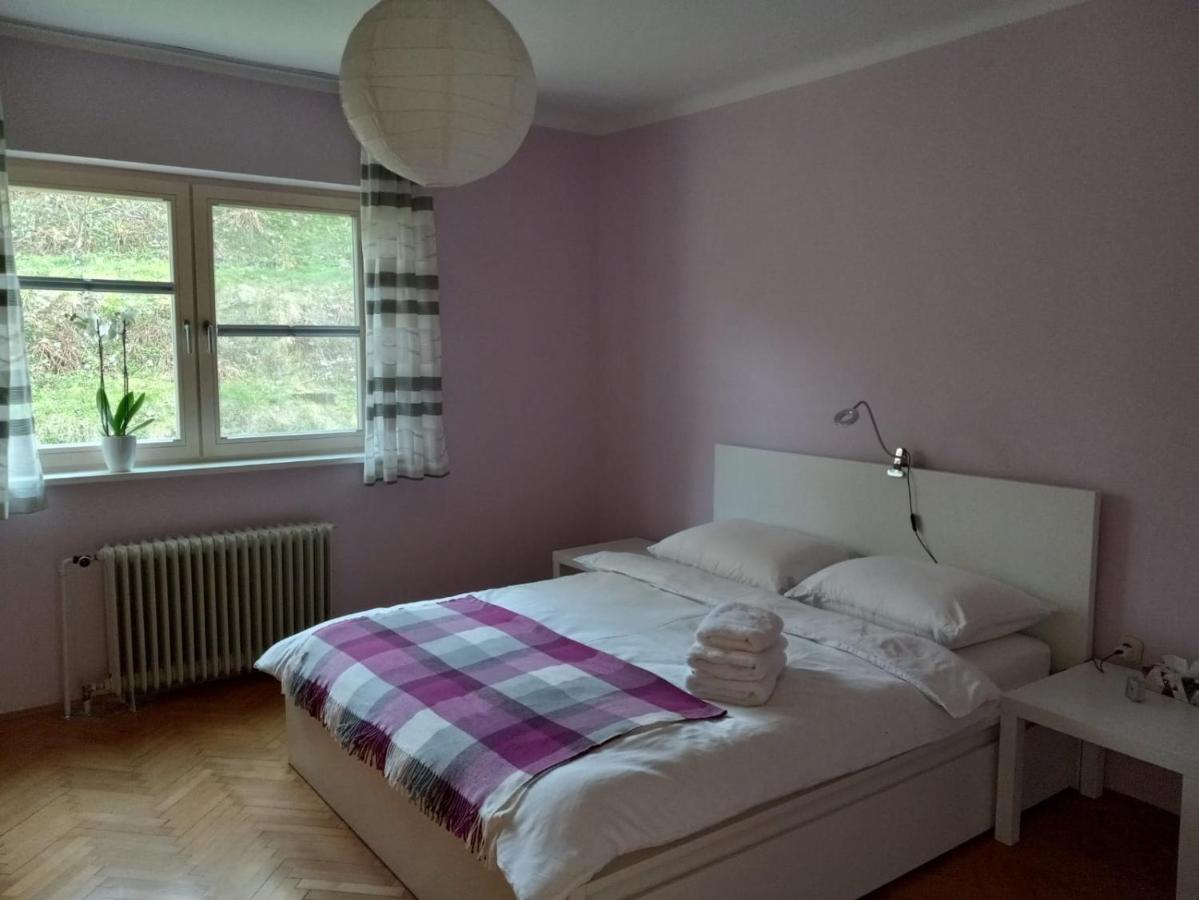 Lovely 2-Bedroom Appartment With Free Parking Dobrova Exteriér fotografie
