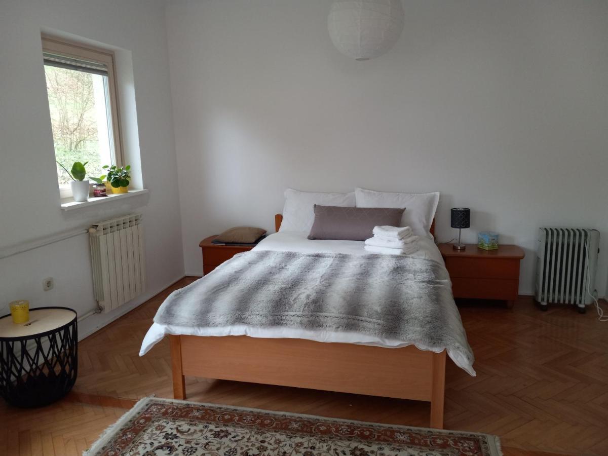 Lovely 2-Bedroom Appartment With Free Parking Dobrova Exteriér fotografie